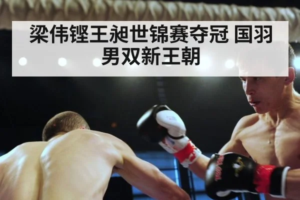 梁伟铿王昶世锦赛夺冠 国羽男双新王朝（jiuyouhui）
