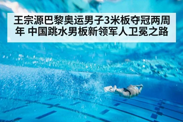 Chinese male diver 3m springboard